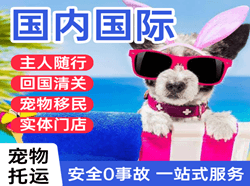 揭阳潮汕航空货运国际宠物托运 【国